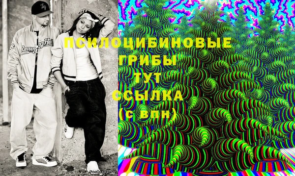 соль курить ск Богородск