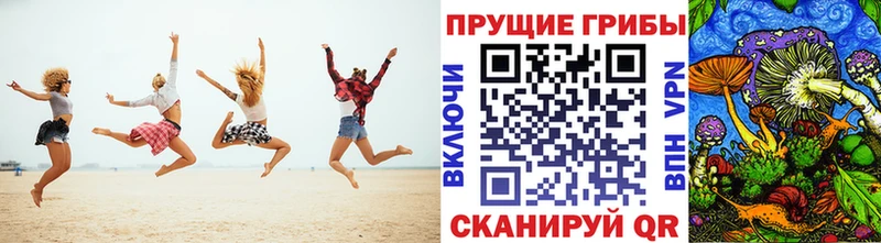 Галлюциногенные грибы MAGIC MUSHROOMS  МЕГА зеркало  Красный Кут 
